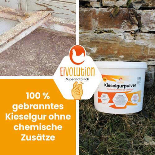 Kieselgurpulver: natürlicher & effizienter Schutz gegen Hautparasiten