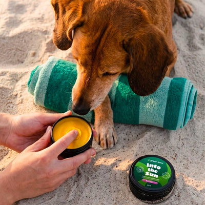 Green Paw Into The Sun sonnencreme am Stand mit einem Hund