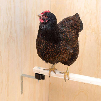 EiVolution Anti-Mite Roost Perch Brackets for Chickens