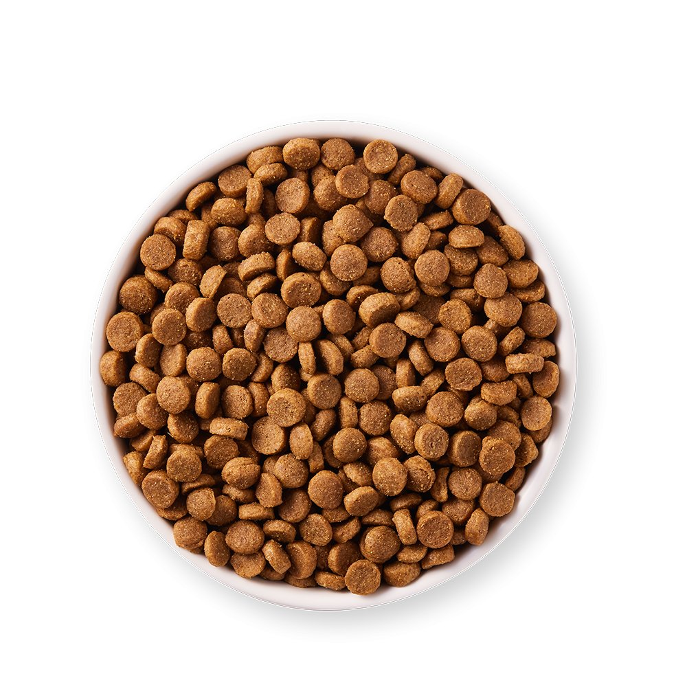 Yarrah Bio Hund Trockenfutter Welpe Huhn - BioTierFutter Onlineshop
