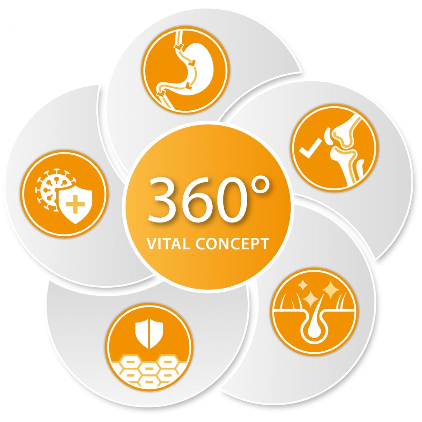 I love my Cat Hypoallergenes Katzentrockenfutter mit Insektenprotein von I love my cat - 1.2 kg