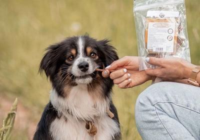 Bellfor Leckerlis & Snacks für Hunde