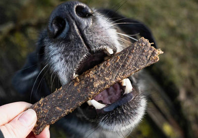 Leckerlis & Snacks für Hunde