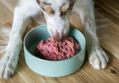 Rein- & Purfleisch für Hunde