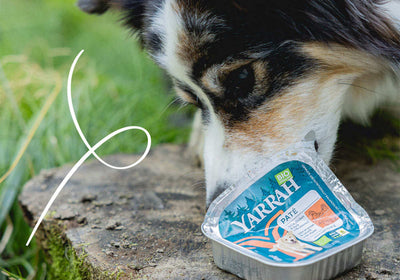 Yarrah Hundefutter
