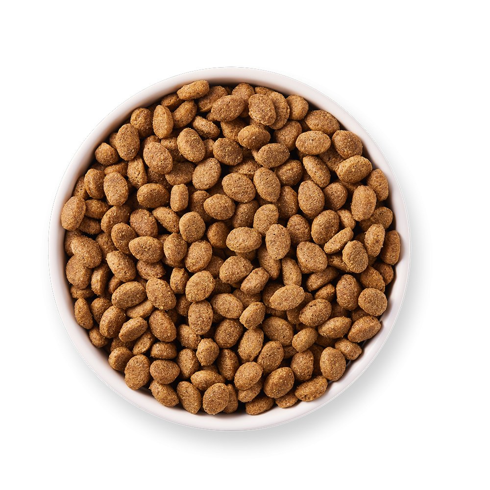 Yarrah Bio Hund Trockenfutter Senior Huhn - BioTierFutter Onlineshop