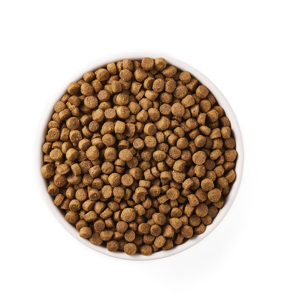 Yarrah Hund Bio-Trockenfutter für kleine Rassen & Welpen | Huhn mit MSC-Fisch - BioTierFutter Onlineshop