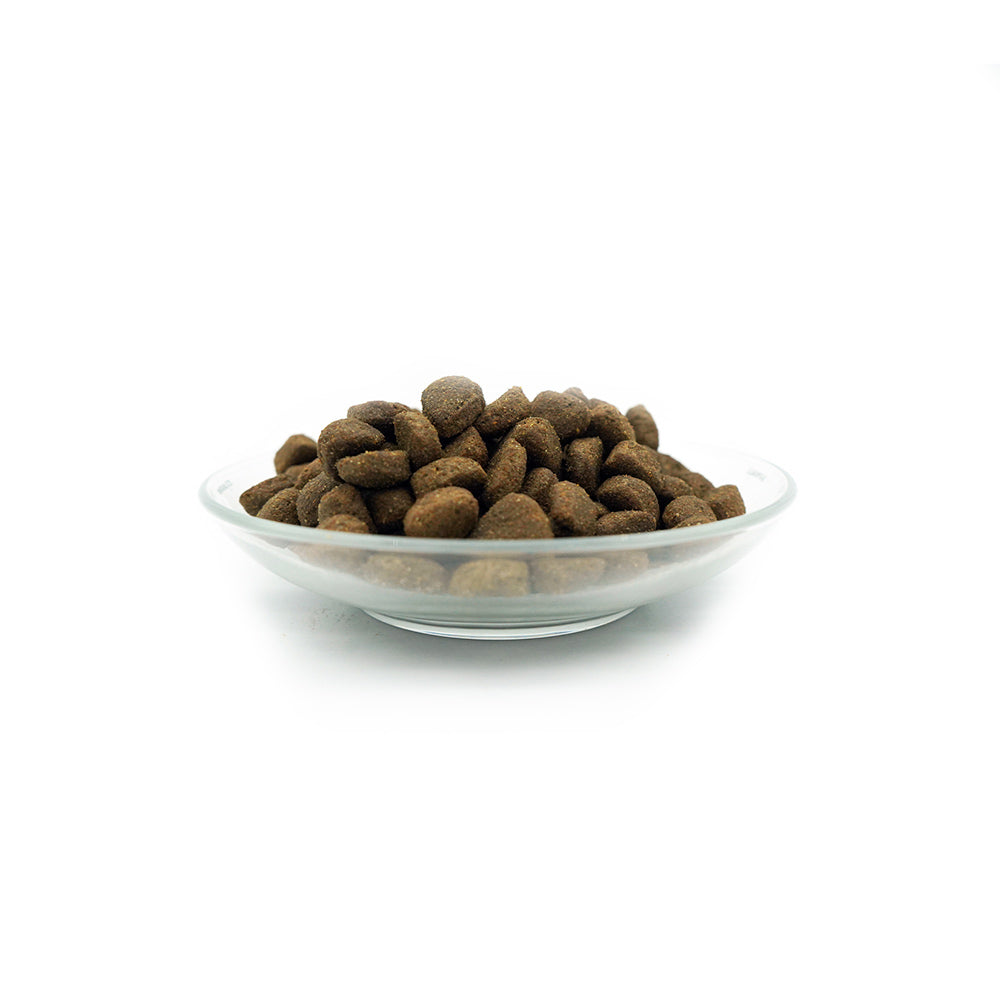 Bellfor Trockenfutter mit Weidelamm - Heide-Schmaus