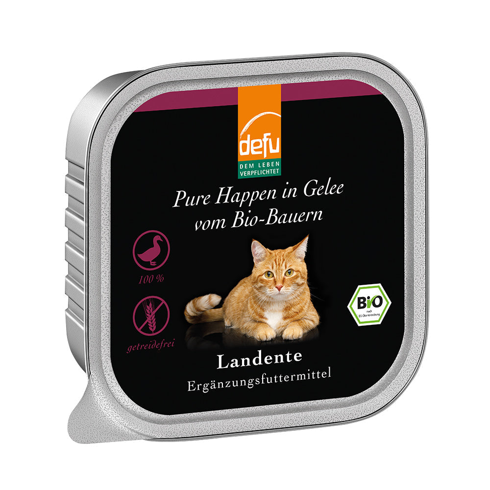 Defu Katze Pure Happen in Gelee Bio-Landente 16 x 100g