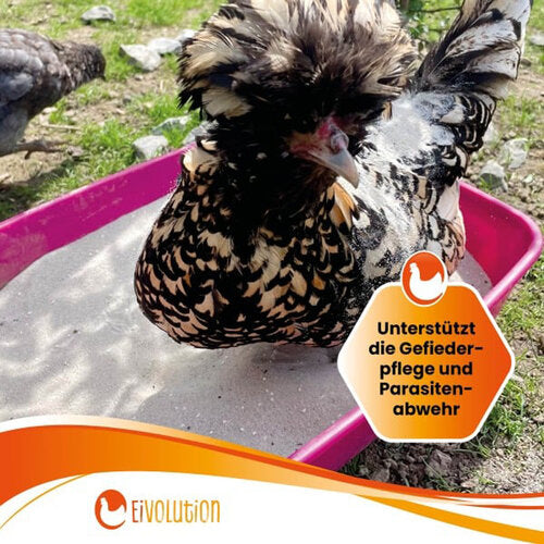 Badesand mit Anis für Hühner und Wachteln: Parasitenabwehr und Desinfektion 8 kg