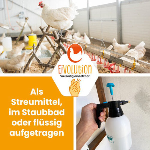 Kieselgurpulver: natürlicher & effizienter Schutz gegen Hautparasiten