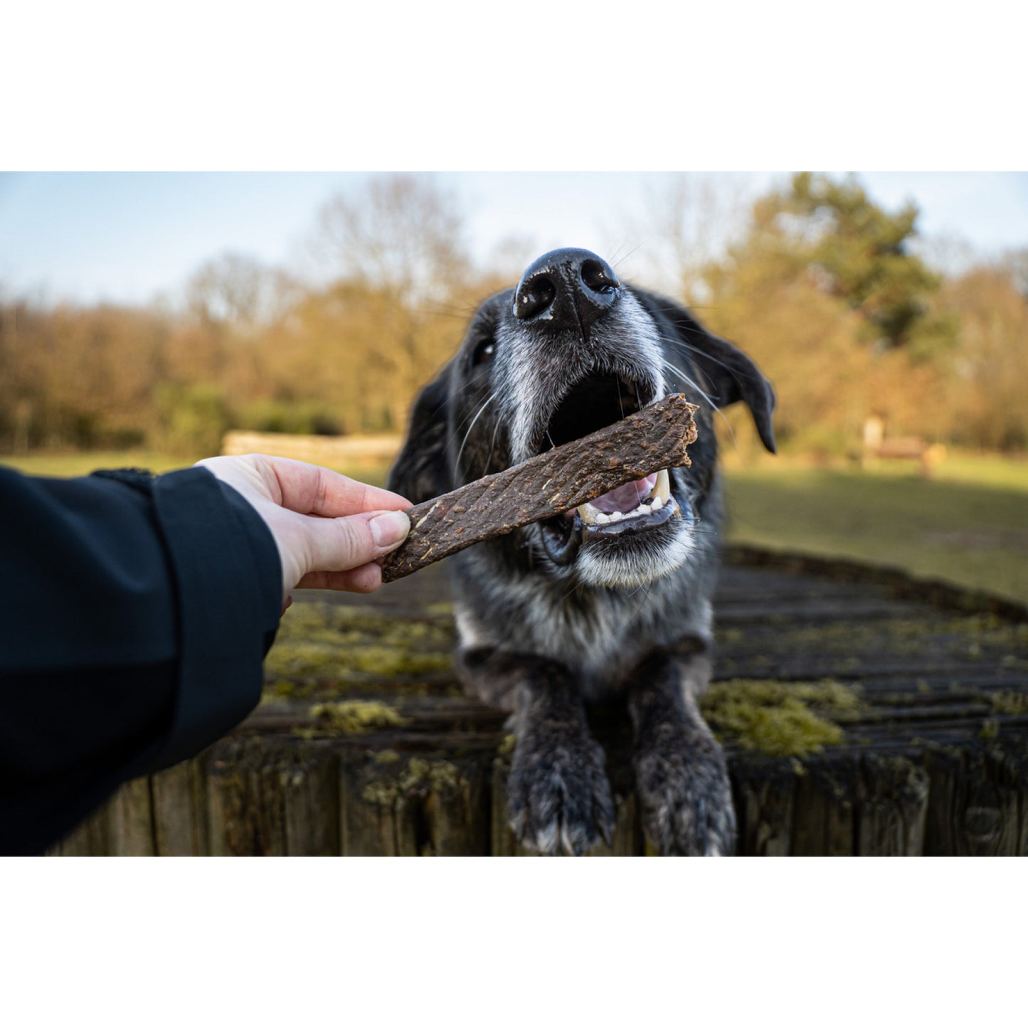 Bellfor Gesunder Hundesnack - Fleischstreifen Lamm 100 g