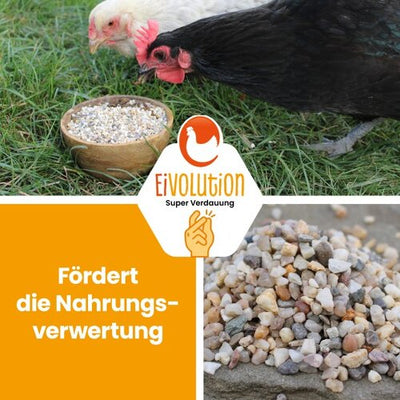 EiVolution Magenkiesel für Geflügel 2-4 mm: vorbeugend