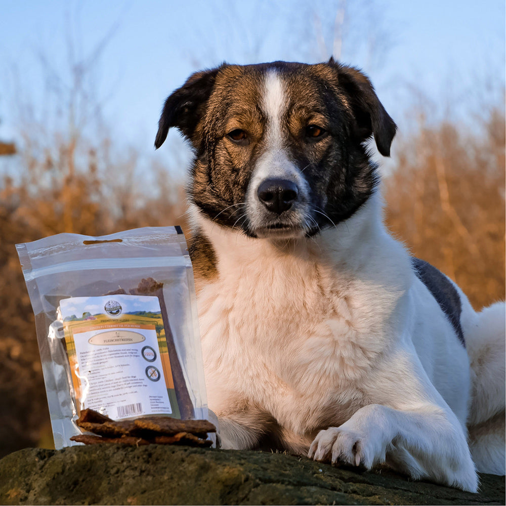 Bellfor Gesunder Hundesnack - Hühner Trockenfleisch 100 g - BioTierFutter Onlineshop