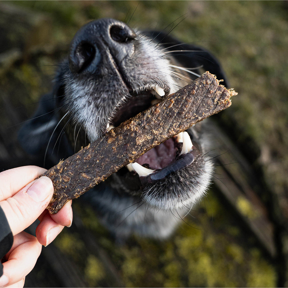 Bellfor Gesunder Hundesnack - Fleischstreifen Ziege 100 g