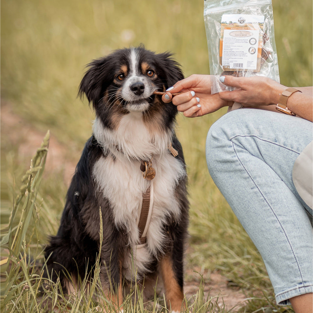 Bellfor Gesunder Hundesnack - Hühner Trockenfleisch 100 g