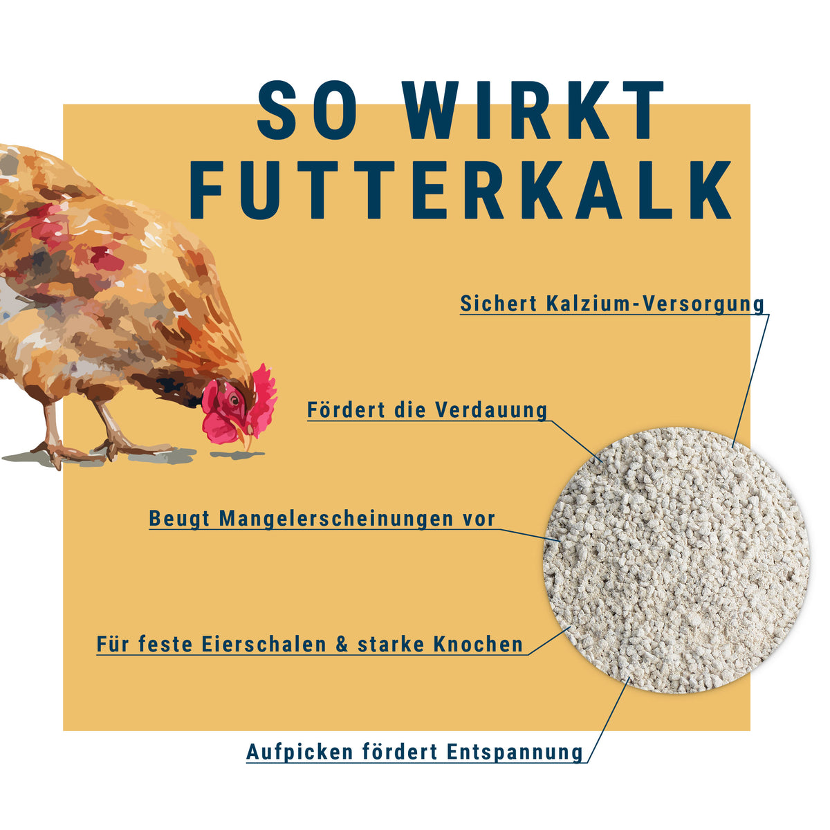 BioPiepFood Calcaire alimentaire pour poules – Calcium pour coquilles d'œufs & os
