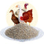 BioPiepFood Gravier gastrique pour poules – Grit pour volailles à base de gravier de quartz