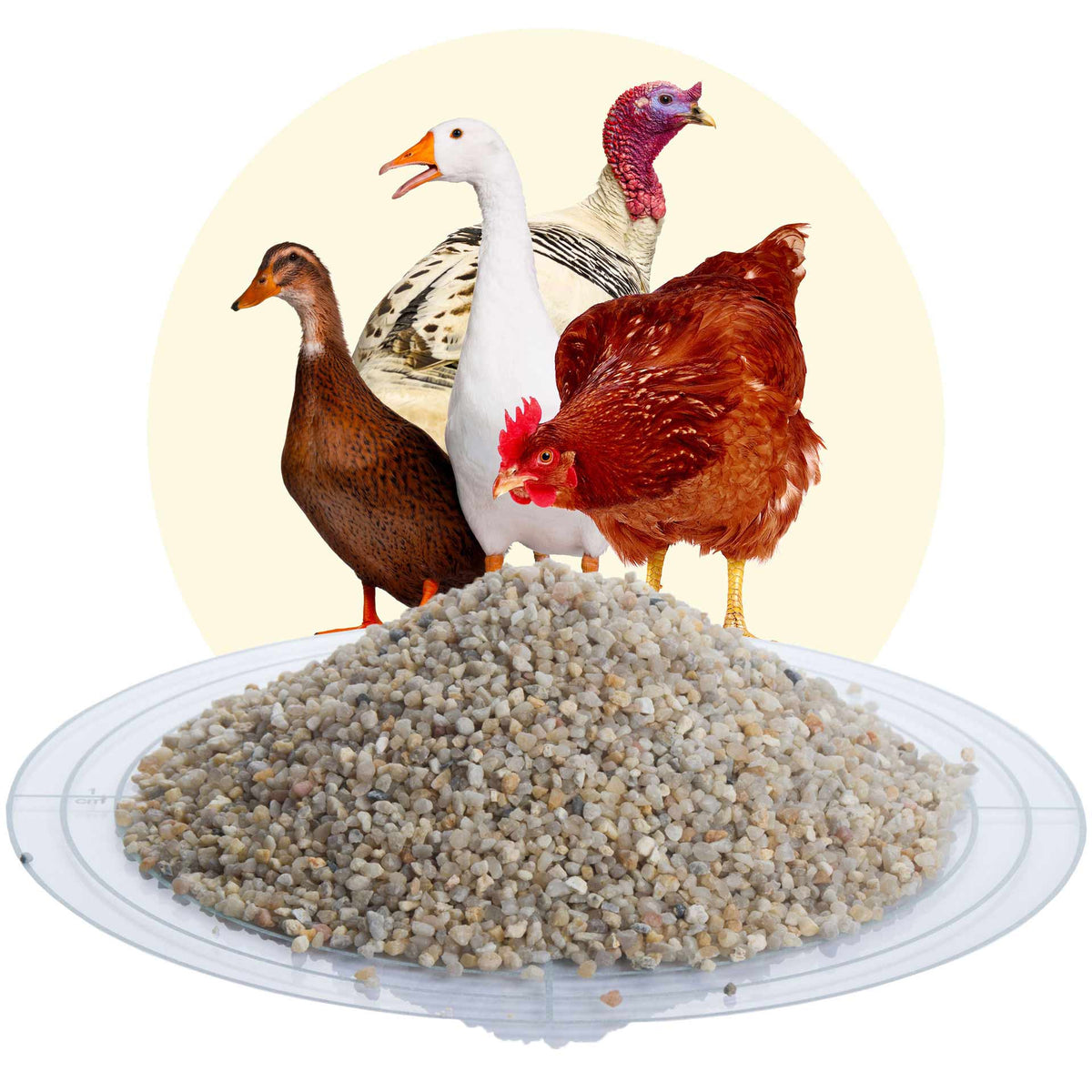 BioPiepFood Gravier gastrique pour poules – Grit pour volailles à base de gravier de quartz
