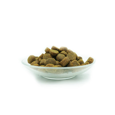 Bellfor Premium Pur Aktiv – glutenfreies Trockenfutter mit Huhn & Seefisch