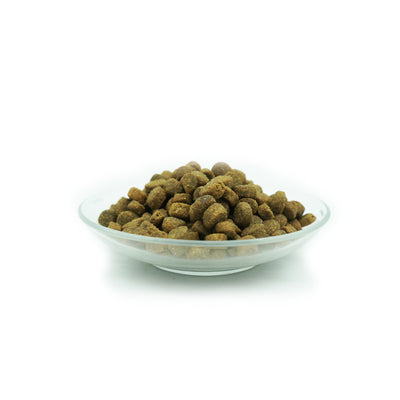 Bellfor Premium Pur VitalPlus – glutenfreies Trockenfutter mit Lamm