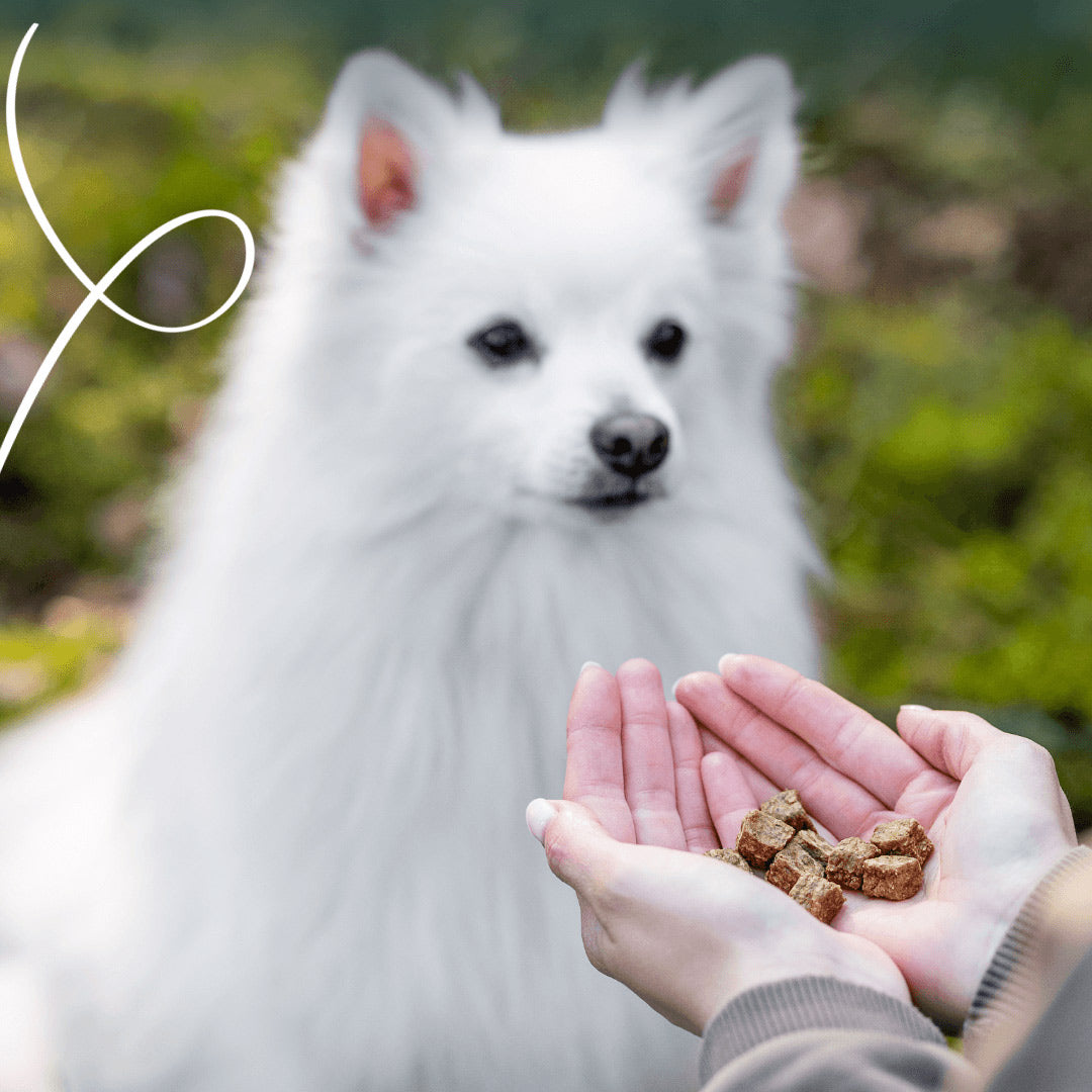 Yarrah Bio Training-Happen mit Huhn für Hunde – 150 g